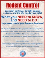 Residential Rodent Control Tips & Enforcement 